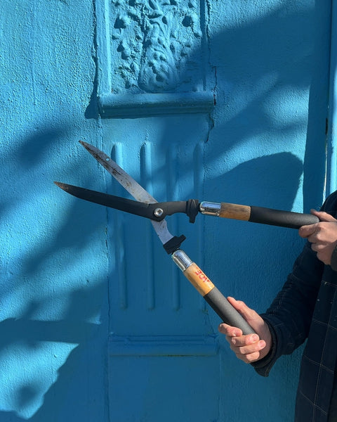 Hedge Shears
