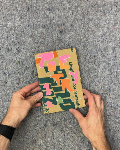 Contemporary Argentine Poetry Curated by Ben Bollig