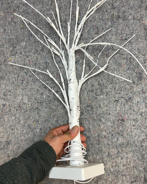 White Birch Tree USB Light