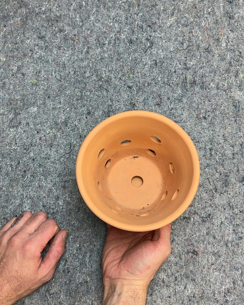 One More Terracotta Orchid Pot with Saucer, 6"