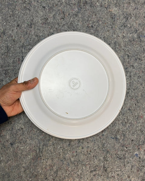 Cute Plastic Plates for Your Kid's New Friends who Only Eat Ketchup and Tenders
