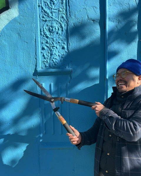 Hedge Shears