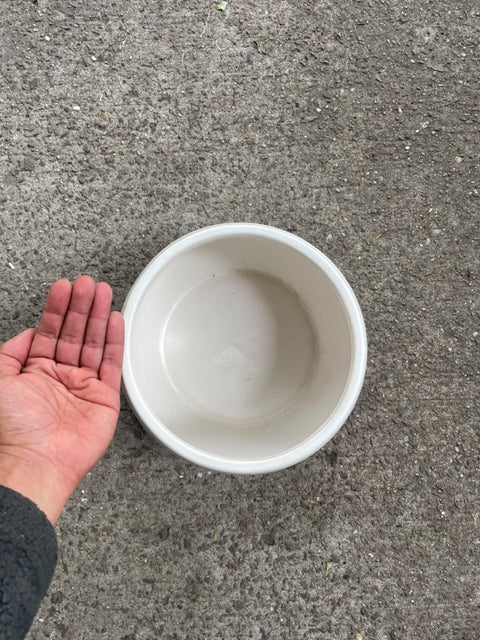 Bigggg White Wavy Vase, 8”