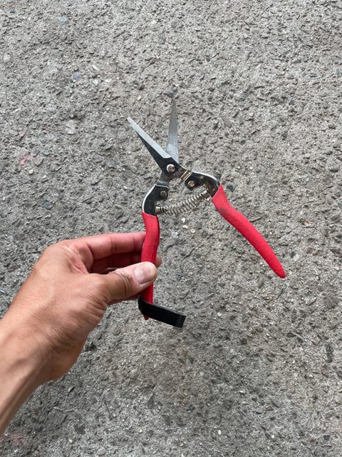 Garden Pruning Scissors