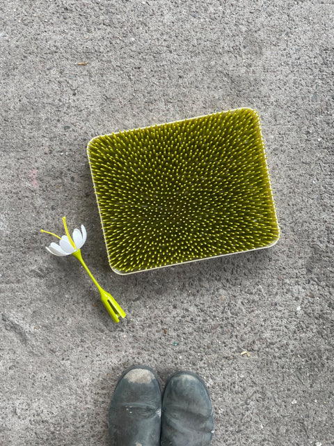 Grass Bottle Drying Tray
