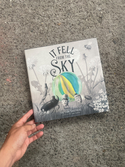 It Fell From The Sky