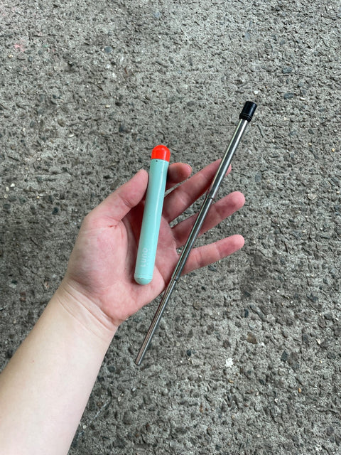 Lund Reusable Straw And Case
