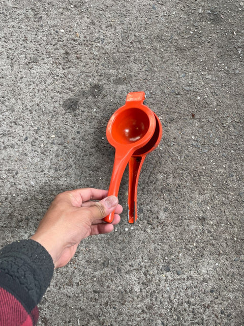 Orange Citrus Press