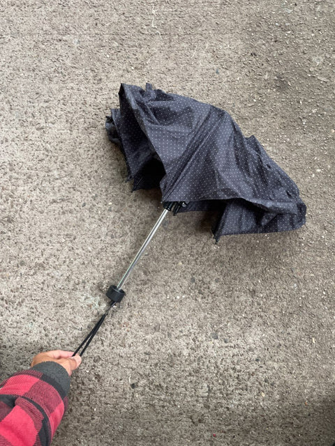 Polka Dot Umbrella