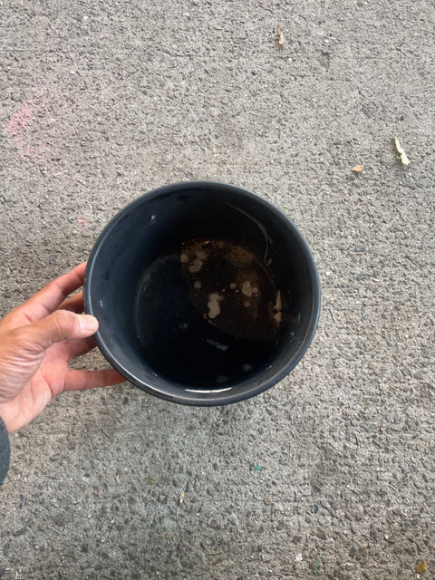 Pretty Patterned Planter Pot
