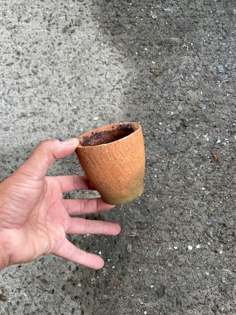 Small Terracotta Pot