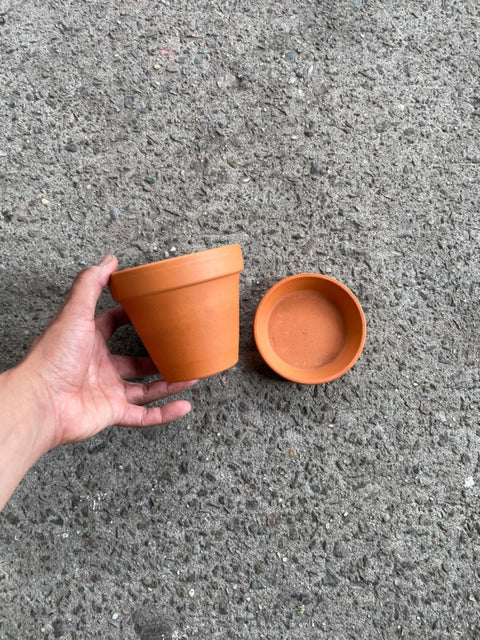Terracotta Flower Pot