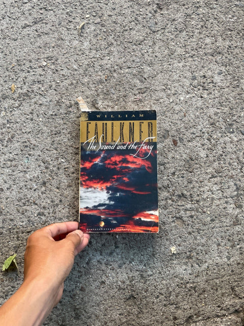 The Sound And The Fury by Faulkner