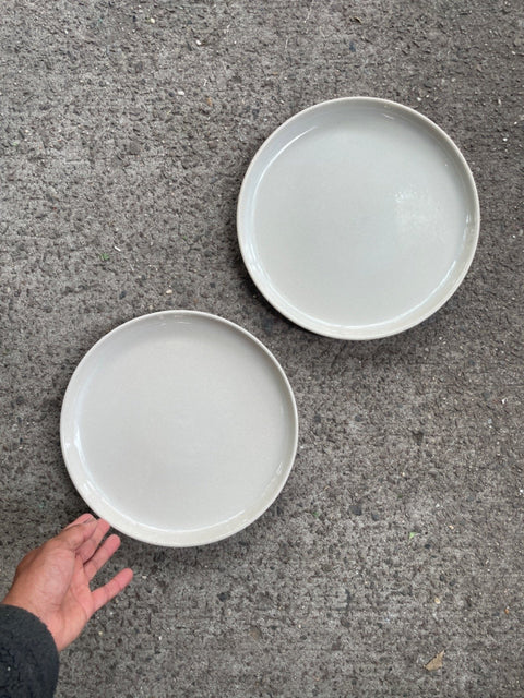 West Elm Minimalist Dinner Plates