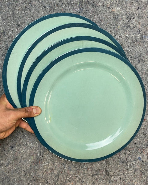 Cute Plastic Plates for Your Kid's New Friends who Only Eat Ketchup and Tenders