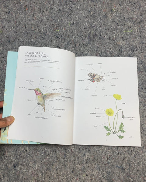 Birds, Bees & Blossoms by Harriet De Winton