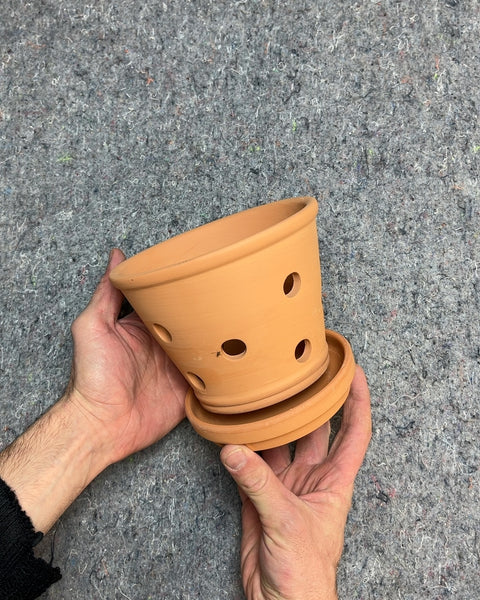 One More Terracotta Orchid Pot with Saucer, 6"