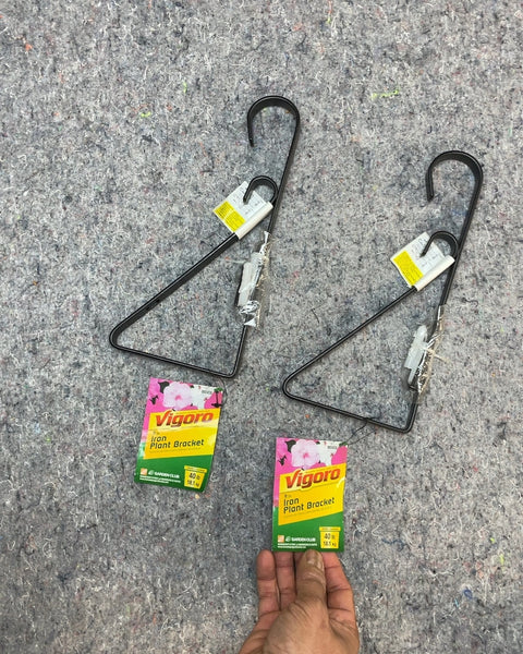 Vigoro Iron Plant Bracket, 9 in, Set of 2