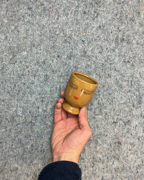 Lil' Accent Decor Celfie Ceramic Planter