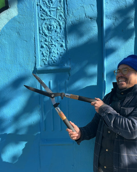 Hedge Shears